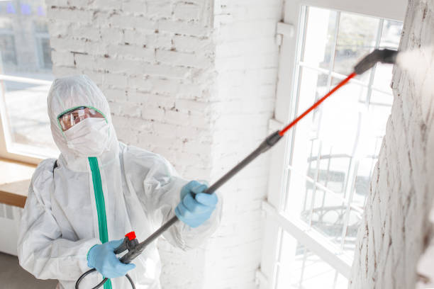 Best Mold Documentation for Insurance Claims  in Oceano, CA
