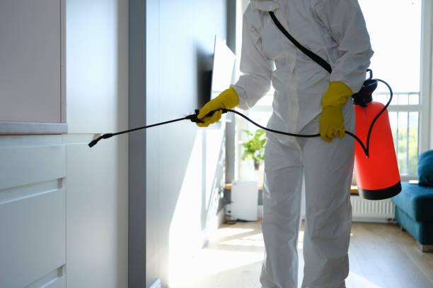 Mold Removal for HVAC Installations in Oceano, CA