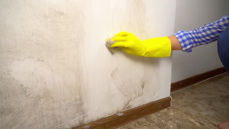 Best Airborne Mold Testing  in Oceano, CA
