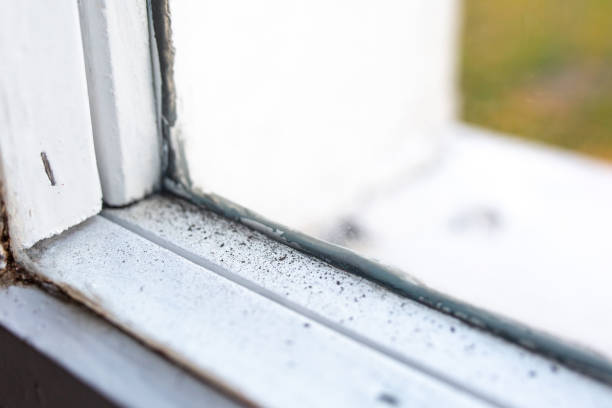 Best Mold Odor Removal Services  in Oceano, CA