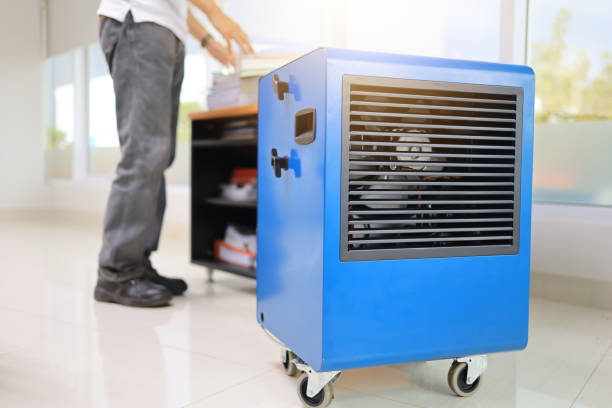 Best Mold Damage Restoration  in Oceano, CA