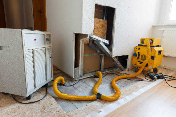 Best Post-Remediation Verification Testing  in Oceano, CA