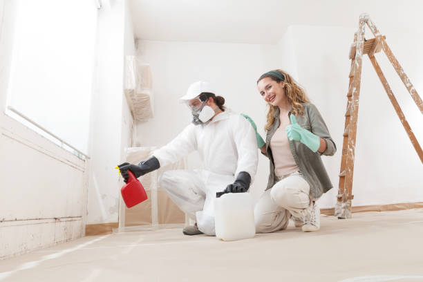 Trusted Oceano, CA Mold Removal Experts