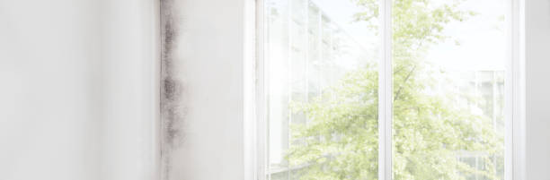 Best Commercial Mold Inspection  in Oceano, CA