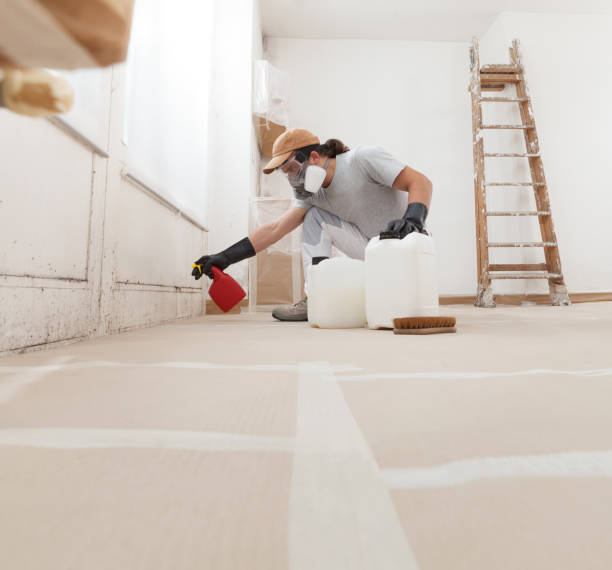  Oceano, CA Mold Removal Pros