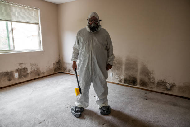 Best Basement Mold Removal  in Oceano, CA