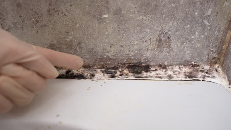 Best Dehumidification Services  in Oceano, CA