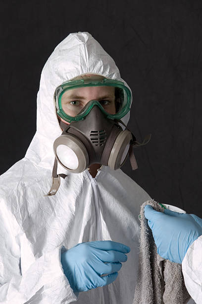 Biohazard Mold Removal in Oceano, CA