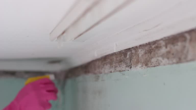 Best HVAC Mold Inspection and Cleaning  in Oceano, CA